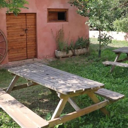Cal Calau Vega Bed & Breakfast Планолес Екстериор снимка