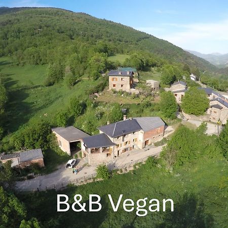Cal Calau Vega Bed & Breakfast Планолес Екстериор снимка